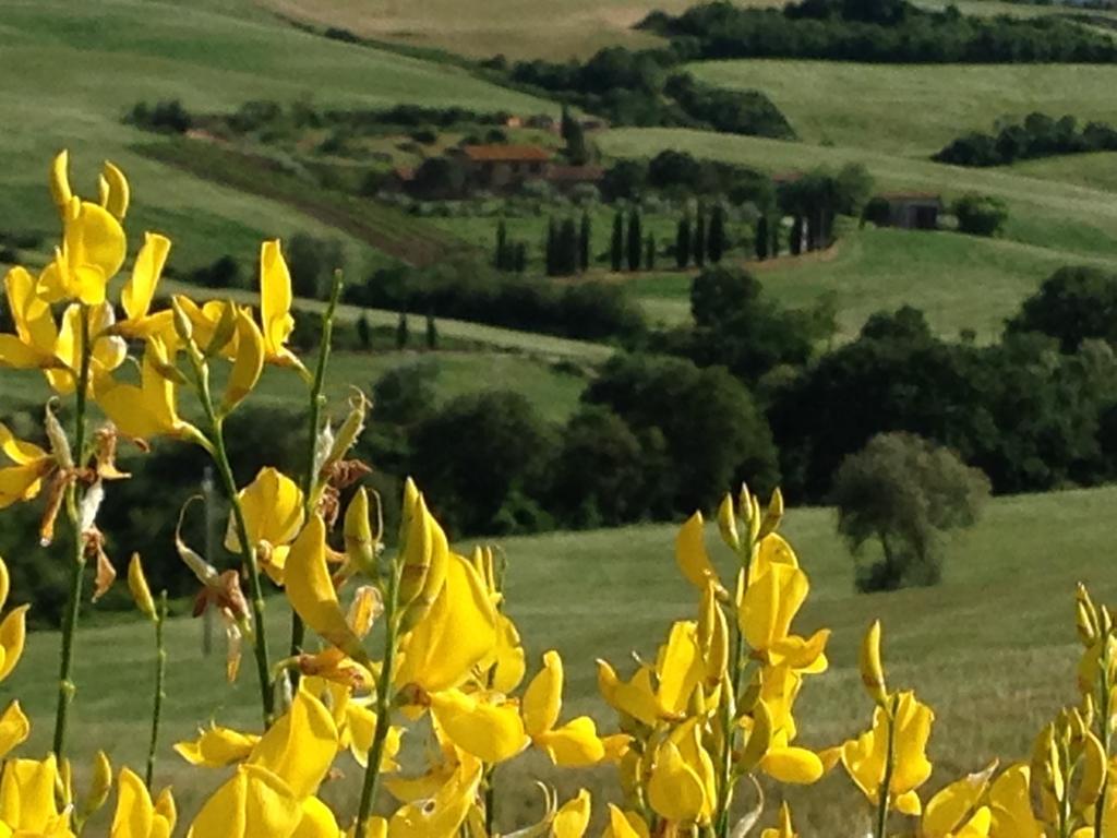 Agriturismo Santa Maria ปีเอนซา ภายนอก รูปภาพ