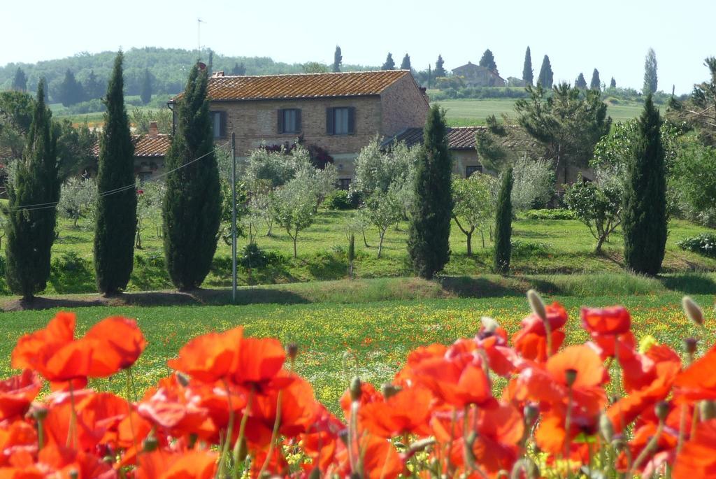 Agriturismo Santa Maria ปีเอนซา ภายนอก รูปภาพ