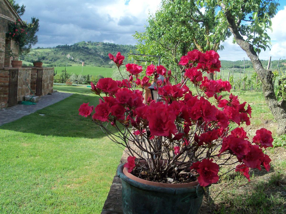Agriturismo Santa Maria ปีเอนซา ภายนอก รูปภาพ