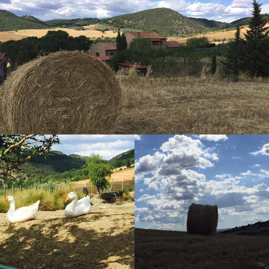 Agriturismo Santa Maria ปีเอนซา ภายนอก รูปภาพ
